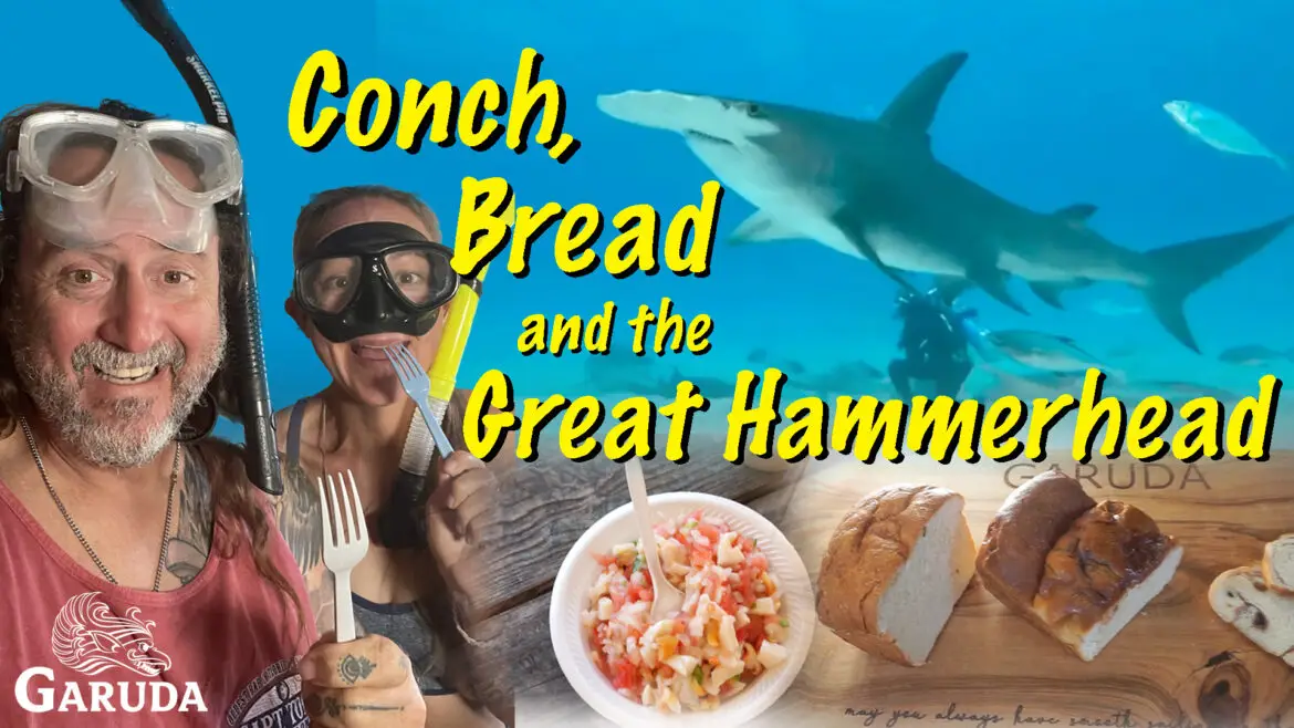 Conch, Bread & The Great Hammerhead